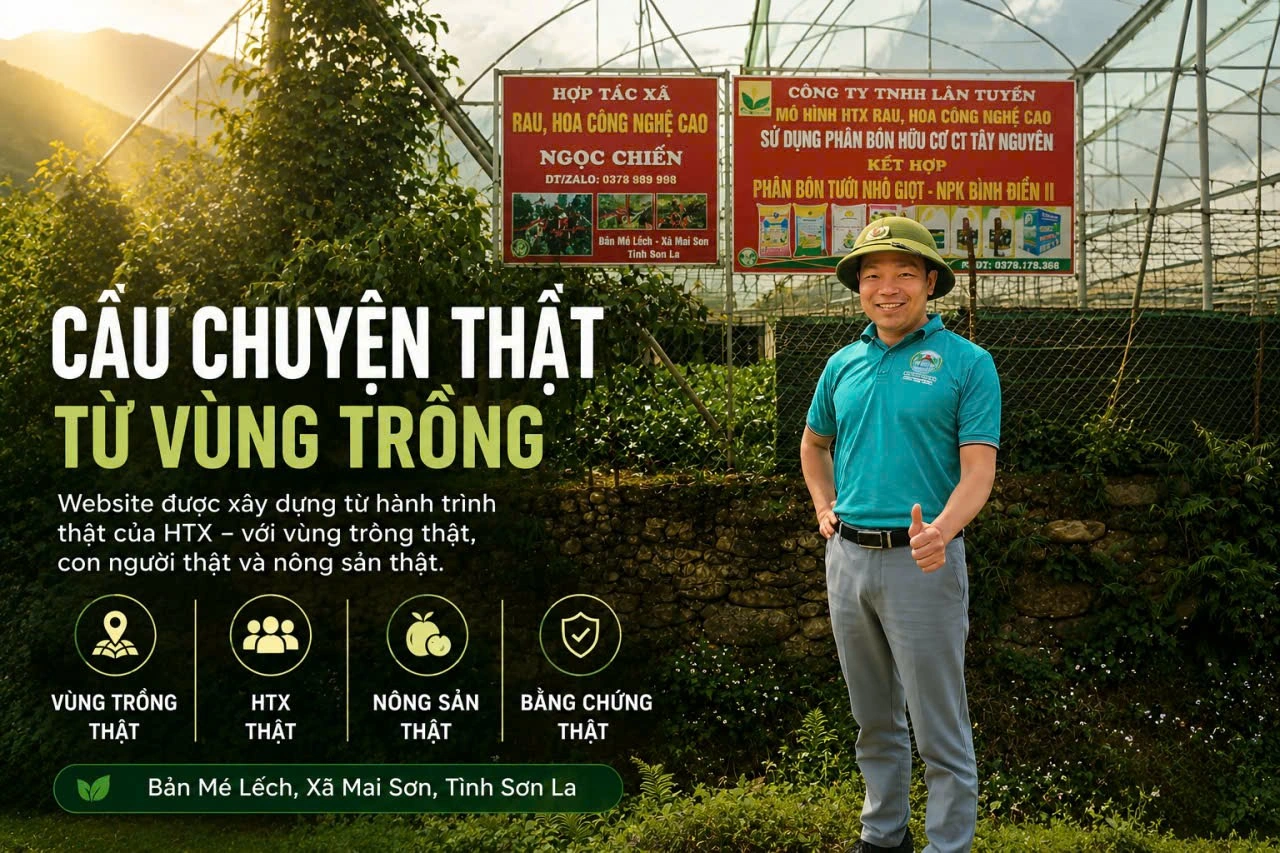 Bằng chứng thực địa tại vùng trồng Na Mé Lếch với con người, biển nhận diện và khu sản xuất.